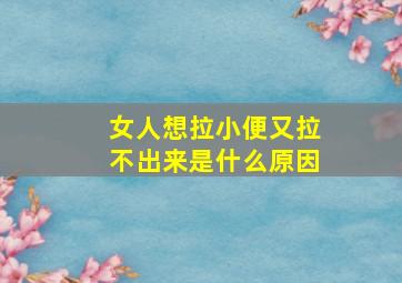 女人想拉小便又拉不出来是什么原因