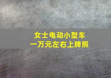 女士电动小型车一万元左右上牌照