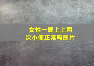 女性一晚上上两次小便正常吗图片