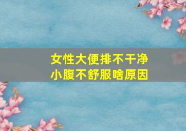 女性大便排不干净小腹不舒服啥原因