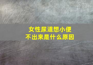 女性尿道想小便不出来是什么原因