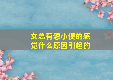 女总有想小便的感觉什么原因引起的