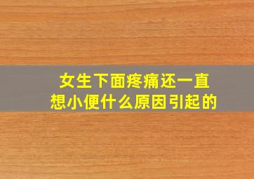 女生下面疼痛还一直想小便什么原因引起的