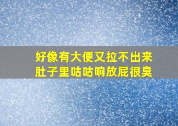 好像有大便又拉不出来肚子里咕咕响放屁很臭