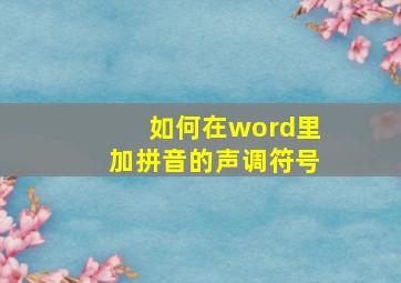 如何在word里加拼音的声调符号