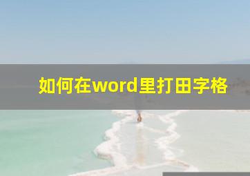 如何在word里打田字格