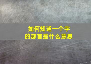 如何知道一个字的部首是什么意思