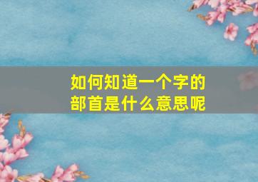 如何知道一个字的部首是什么意思呢