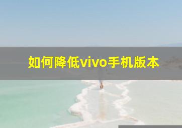 如何降低vivo手机版本