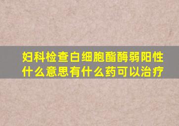 妇科检查白细胞酯酶弱阳性什么意思有什么药可以治疗