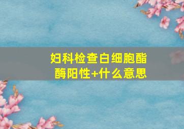 妇科检查白细胞酯酶阳性+什么意思