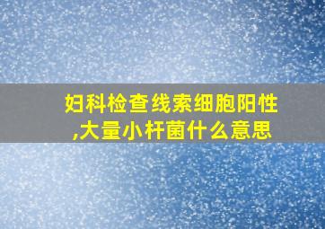 妇科检查线索细胞阳性,大量小杆菌什么意思