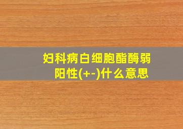 妇科病白细胞酯酶弱阳性(+-)什么意思