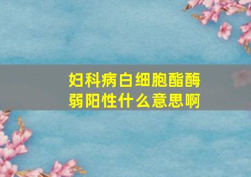 妇科病白细胞酯酶弱阳性什么意思啊