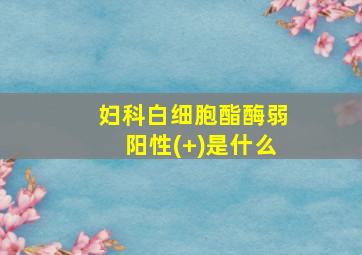 妇科白细胞酯酶弱阳性(+)是什么