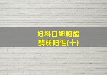 妇科白细胞酯酶弱阳性(十)