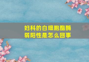 妇科的白细胞酯酶弱阳性是怎么回事