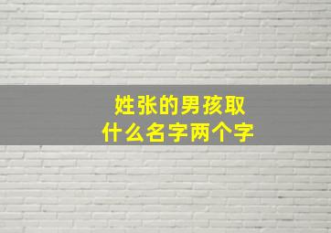 姓张的男孩取什么名字两个字