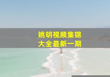 姚明视频集锦大全最新一期