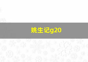 姚生记g20