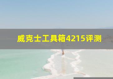 威克士工具箱4215评测