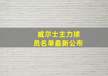 威尔士主力球员名单最新公布