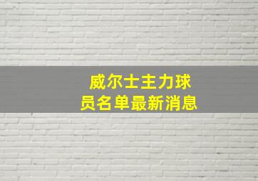 威尔士主力球员名单最新消息