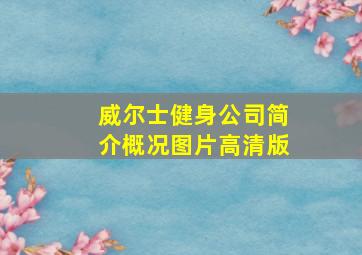 威尔士健身公司简介概况图片高清版