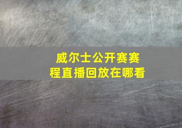 威尔士公开赛赛程直播回放在哪看