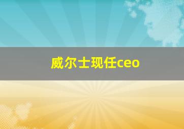 威尔士现任ceo