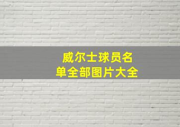 威尔士球员名单全部图片大全