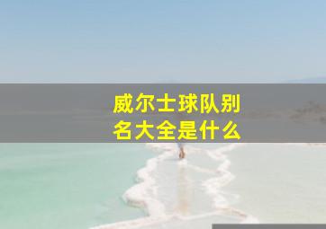 威尔士球队别名大全是什么