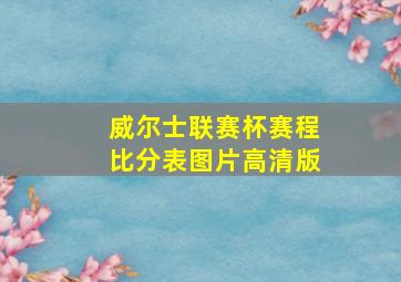 威尔士联赛杯赛程比分表图片高清版