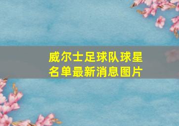 威尔士足球队球星名单最新消息图片