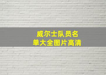 威尔士队员名单大全图片高清