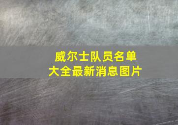 威尔士队员名单大全最新消息图片