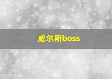 威尔斯boss