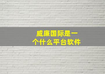 威廉国际是一个什么平台软件