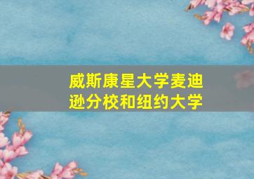 威斯康星大学麦迪逊分校和纽约大学