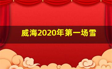 威海2020年第一场雪