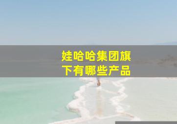 娃哈哈集团旗下有哪些产品