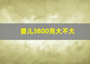 婴儿3800克大不大