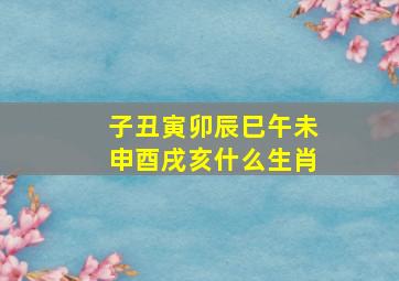 子丑寅卯辰巳午未申酉戌亥什么生肖