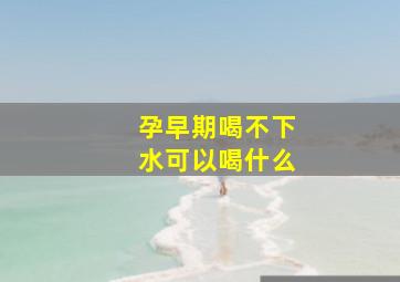 孕早期喝不下水可以喝什么