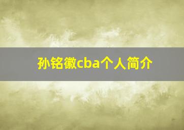 孙铭徽cba个人简介