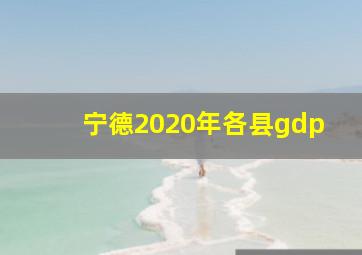 宁德2020年各县gdp