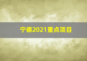 宁德2021重点项目