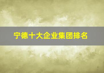 宁德十大企业集团排名