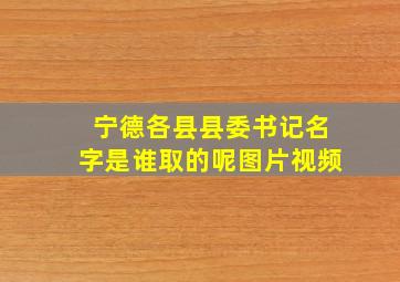 宁德各县县委书记名字是谁取的呢图片视频