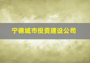 宁德城市投资建设公司